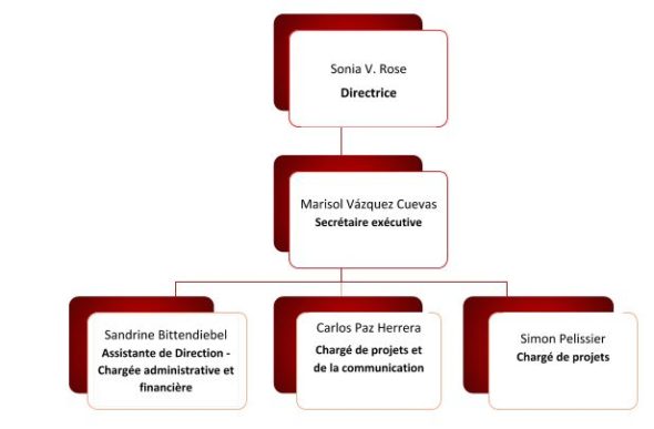 Organigramme