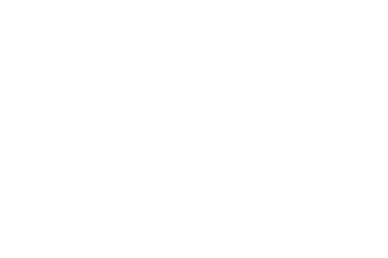 Logo Muframex